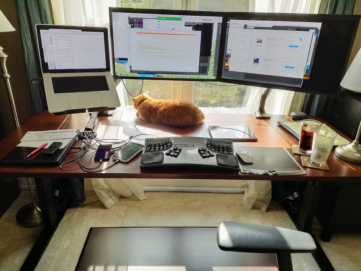 lgleasain's tweet photo. My @PurrProgramming partner likes the new #vertdesk. https://t.co/VT8eOkMGCM