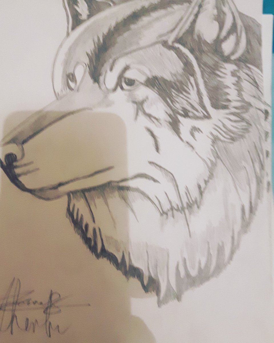 jamesavo's tweet image. #drawingislife