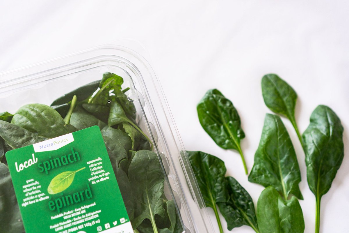 nutraponics's tweet photo. Can't stop the love for spinach. What's your favourite NutraPonics product? https://t.co/7z90uQNS9h