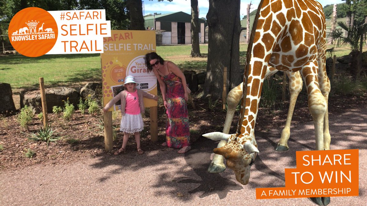 tomgrant1985's tweet image. No worries! We had a fantastic day. Loads of new areas in the park which were brill!