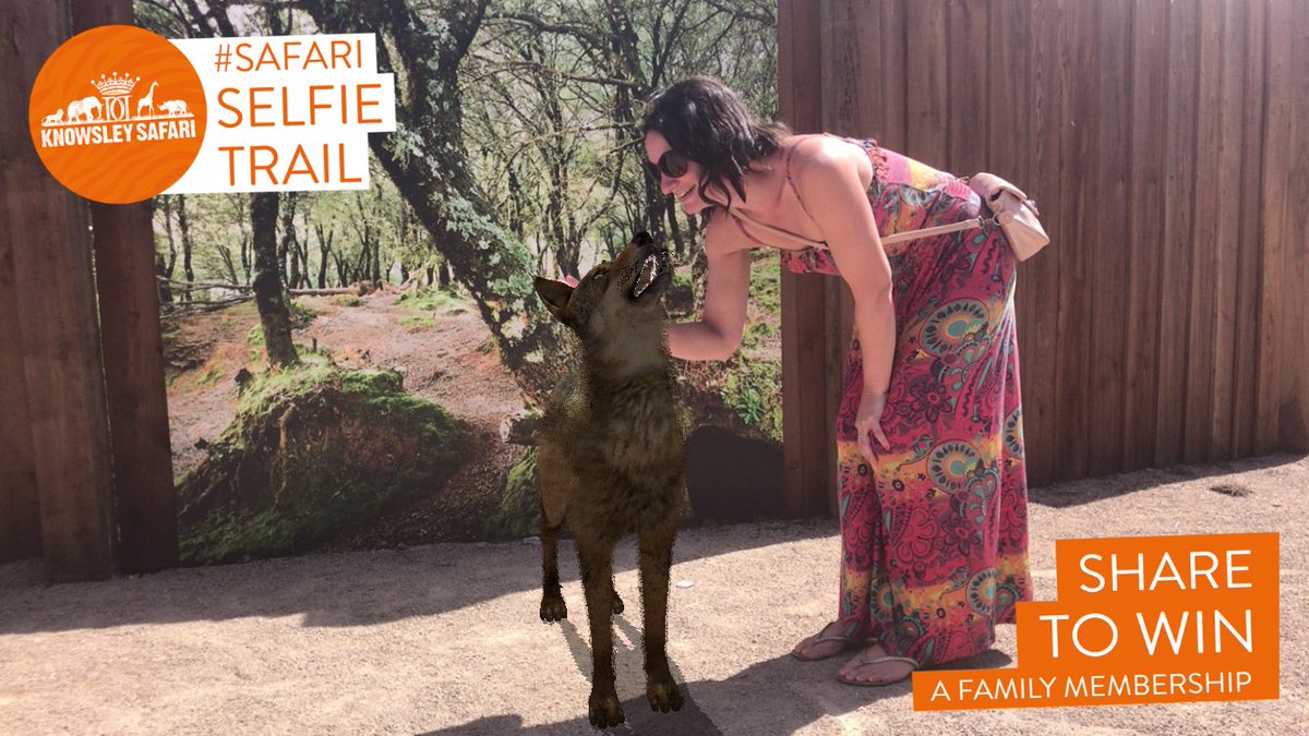 tomgrant1985's tweet image. No worries! We had a fantastic day. Loads of new areas in the park which were brill!