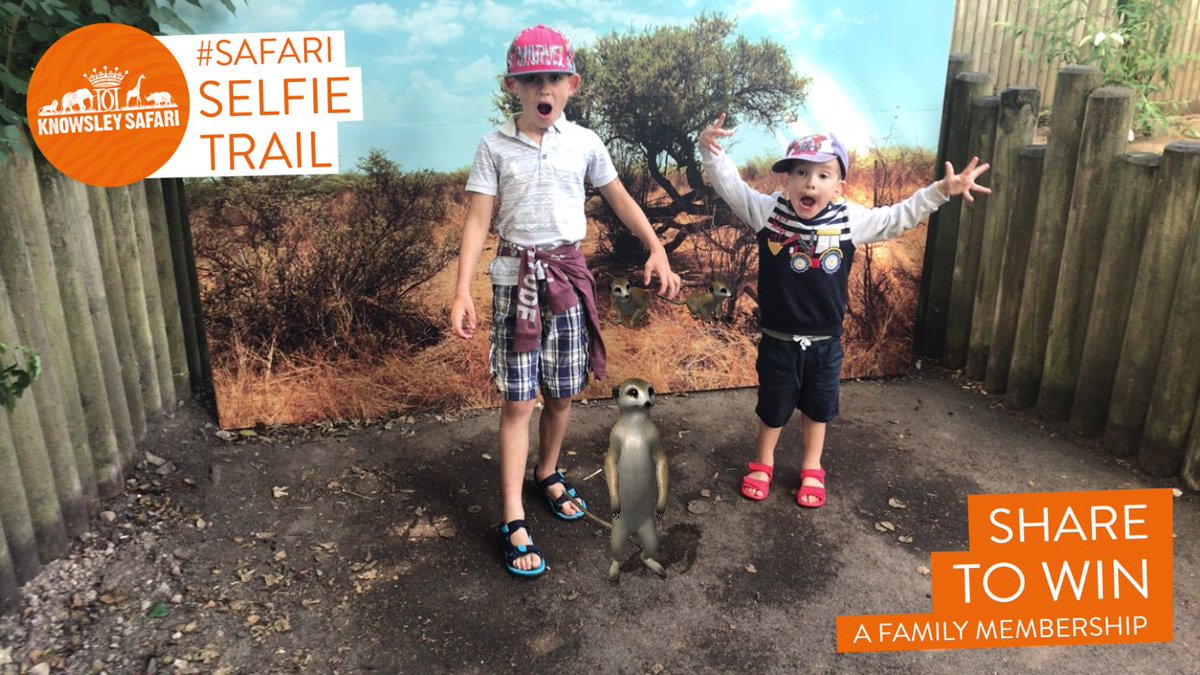 tomgrant1985's tweet image. No worries! We had a fantastic day. Loads of new areas in the park which were brill!