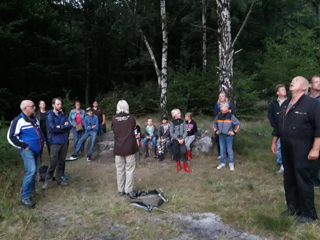 Opzoek naar vleermuizen bij het  #boomkroonpad. Met gids Madelijn.