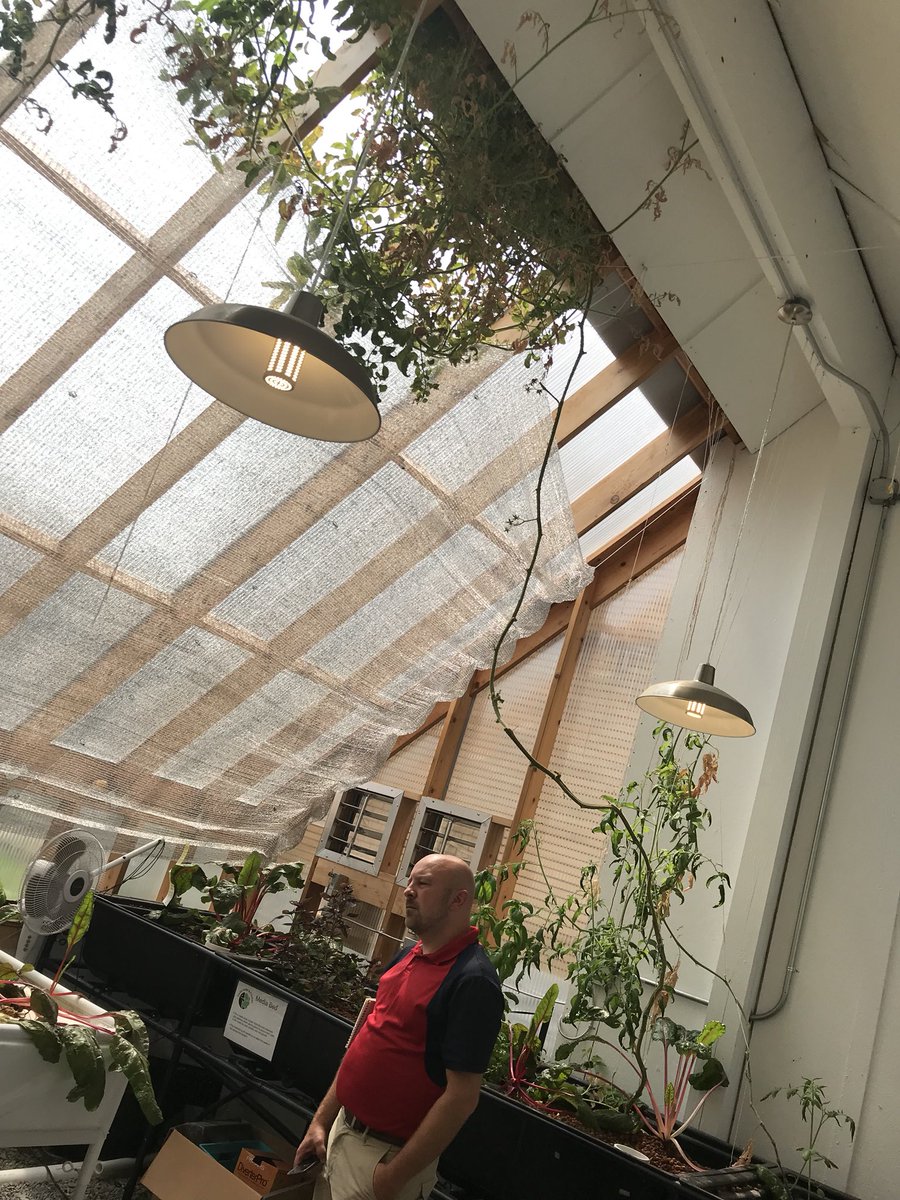 Bethany Mathie tweet media