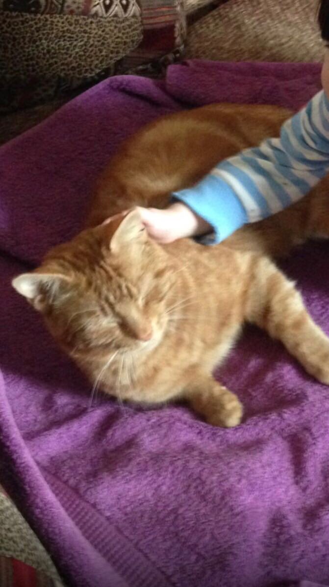 Beverley tweet media