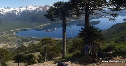 NahuelfiluOK's tweet photo. “Por eso dio media vuelta y se dirigió hacia las montañas, al encuentro con sus raíces y su futuro”
"Nahuelfilú. Una aventura en el lago" es un #libro de descarga gratuita que podes bajarte desde https://t.co/zlElnlngjL
#Mapuche #Nahuelfilu #VillaPehuenia #literatura #SurArg https://t.co/39H0CNrSBU