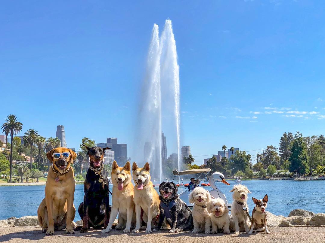 Echo Park Rising tweet media