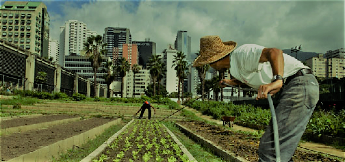 urbanattic_'s tweet photo. Tout comme la @ferme_lacaverne, @urbanattic_ aménage et valorise des dépotoirs pour y faire pousser des légumes #bio 👉
https://t.co/2Jzc78hDHW
@woelab @senamekoffi @AgribusinessTV @kenloh @Paris_Incub @waziupIOT @OIF_ffin @we_SCoPE @nativ_IS @_agricool @MpenTG @cinalawson https://t.co/31edS6v60S