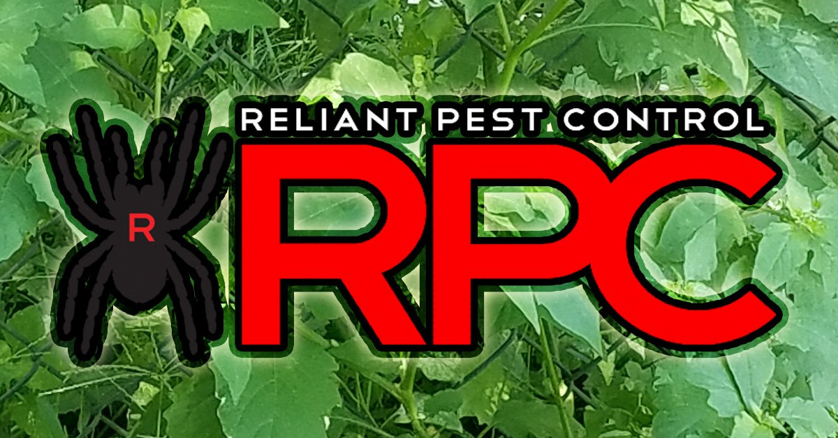Reliant Pest Control (MyReliantPC) Twitter