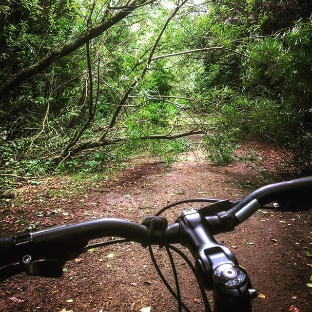 Cskoyles's tweet photo. Thou Shall Not Pass ππ²πββοΈ ββββ-
#cycling #cycling #cyclingshots #cyclingsights #bikeride #viewfrommyhandlebars #outdoors #nature #tree #fallentree #fallentrees #mtbike #mtblife #mtb https://t.co/TZKDnnfalD https://t.co/QtI41RgX10