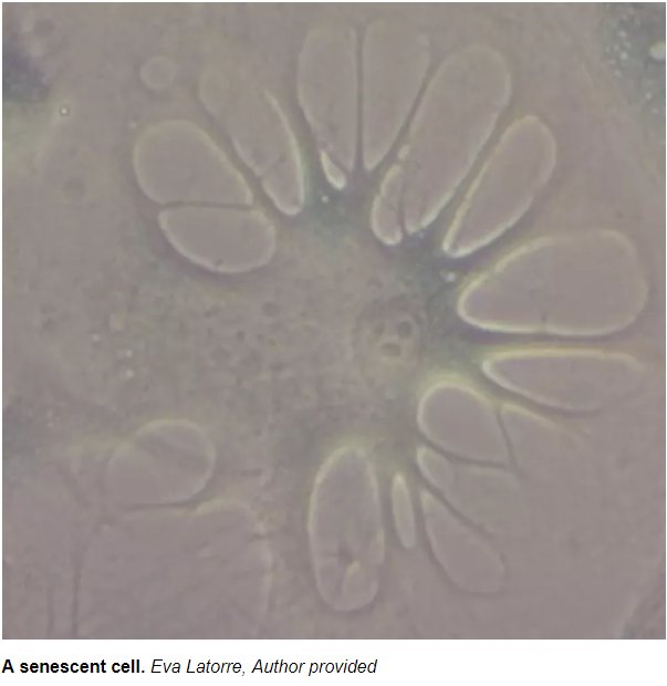 John Lounsbury tweet media