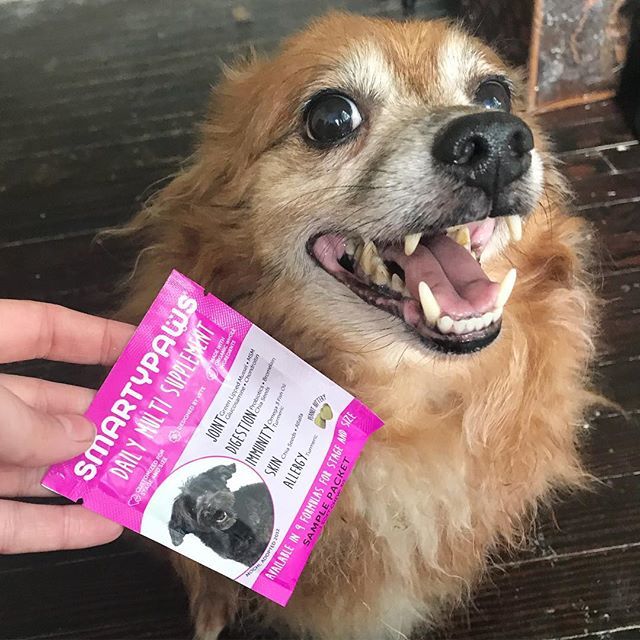 EclecticEvelyn's tweet photo. #Instapic #trynatural supplements from #smartypawsnature your dog will love it #vinnythedog does! #gotitfree #dog #vitamins #dogvitamins #loveit #puppies #adultdogs #seniordogs #peanutbutter #dogtestedandapproved #organic #vetapproved #vetdesigned #dogapโฆ https://t.co/zRKKmLLyXc https://t.co/9ITdtZp3yJ