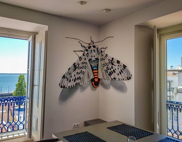 Huge Leopard Moth.. // private commission // #lisbon  #leopardmoth #odeith ift.tt/2MgExnF