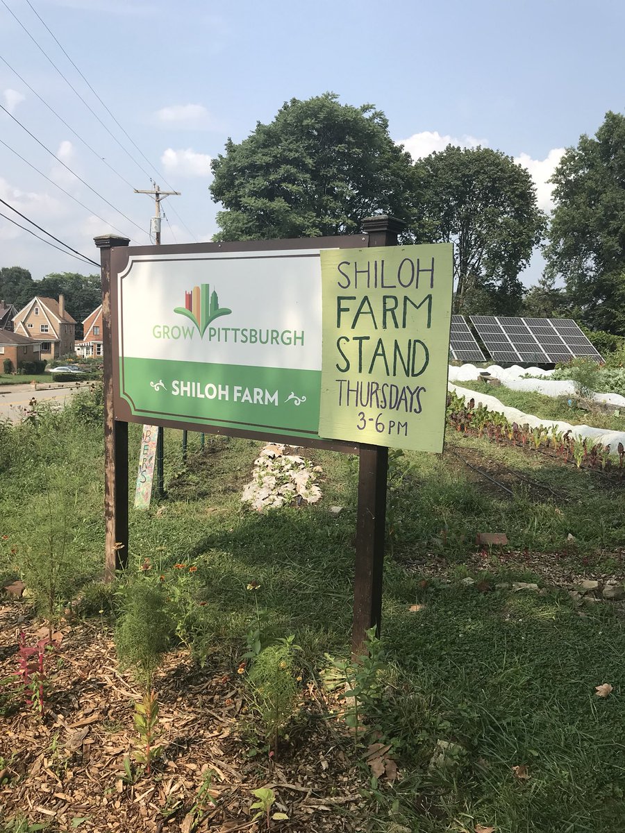 Bethany Mathie tweet media