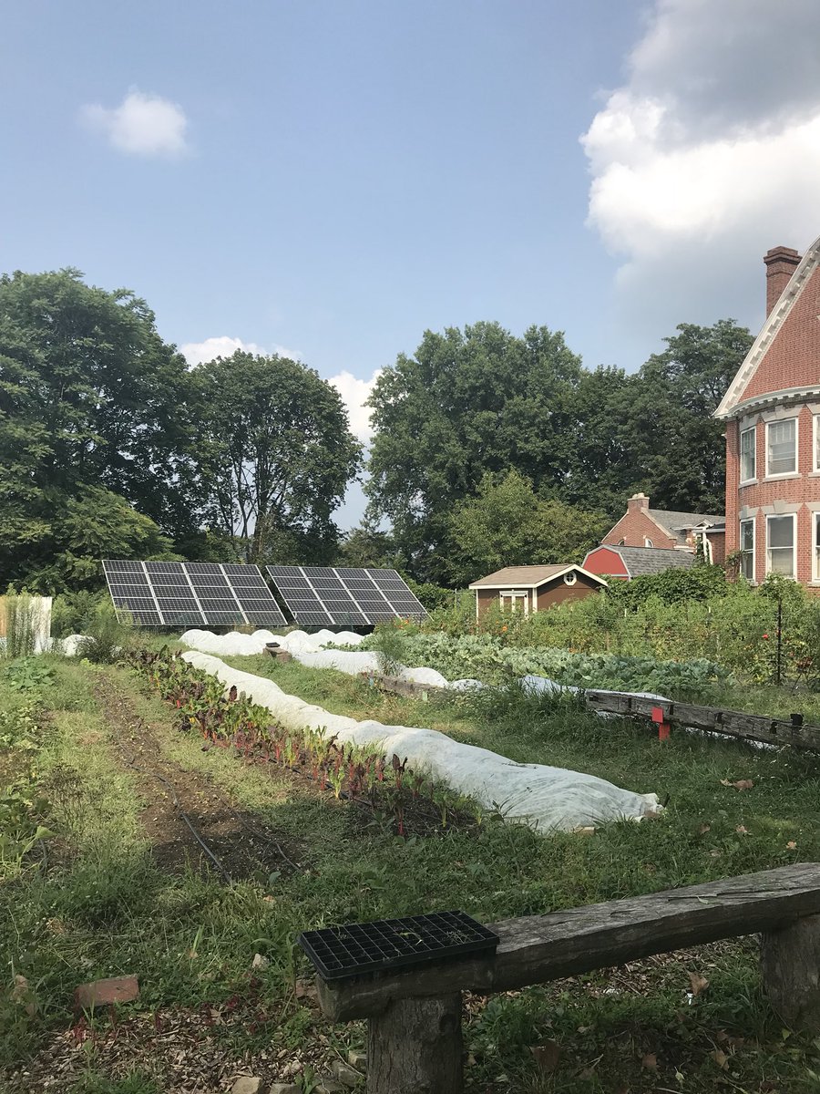 Bethany Mathie tweet media