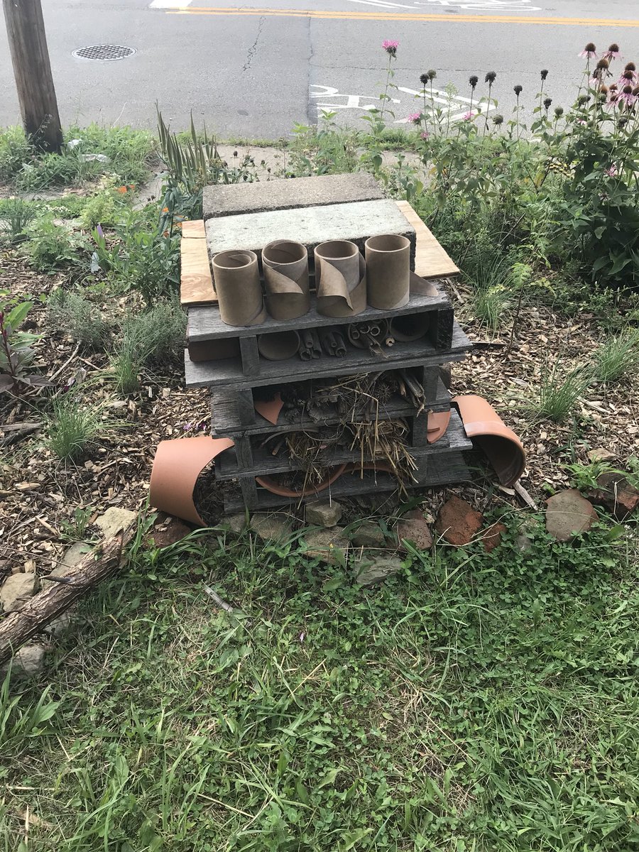 Bethany Mathie tweet media