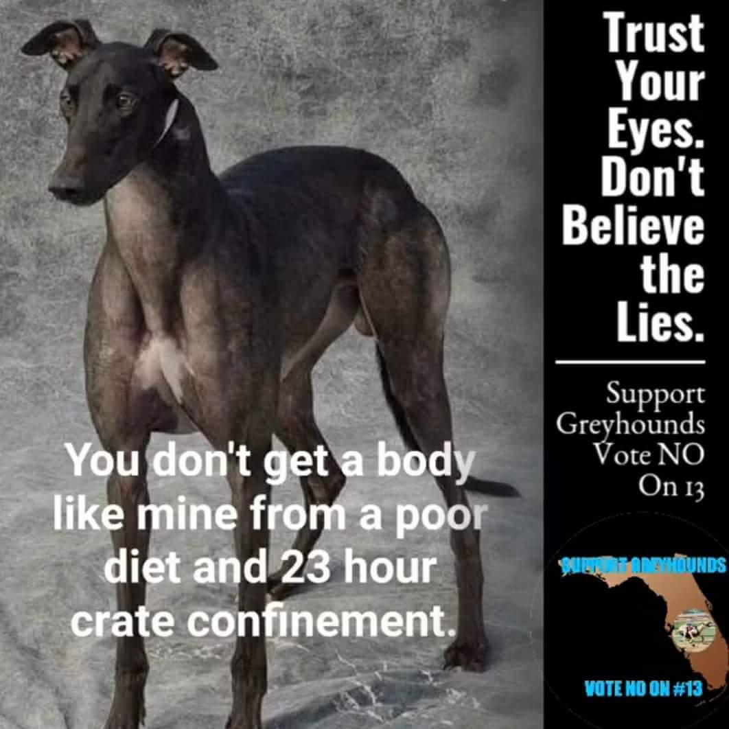 democracy and the limits