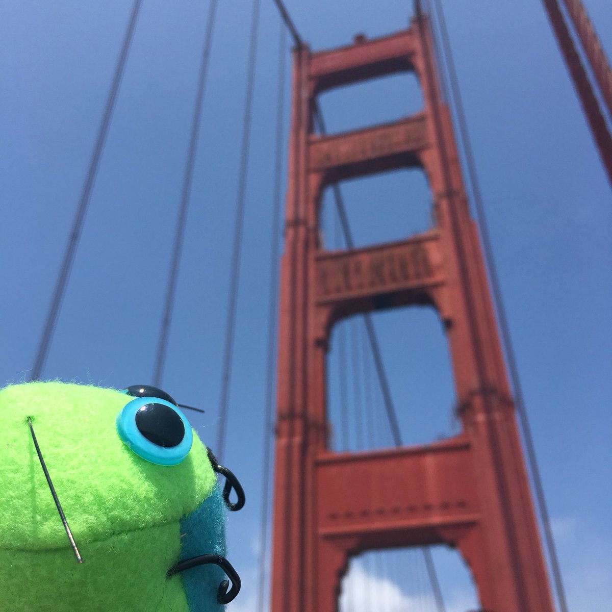 SimplySuzy's tweet photo. Today, Miss Pixel has boldly gone where no bug has gone before. Across and back on the #GoldenGateBridge. #Bringthebug and #Loveyourbug in #SanFrancisco! https://t.co/CsSZqx5kSZ