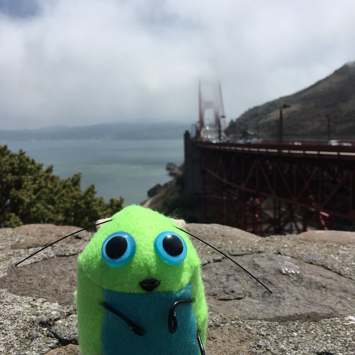 SimplySuzy's tweet photo. Today, Miss Pixel has boldly gone where no bug has gone before. Across and back on the #GoldenGateBridge. #Bringthebug and #Loveyourbug in #SanFrancisco! https://t.co/CsSZqx5kSZ