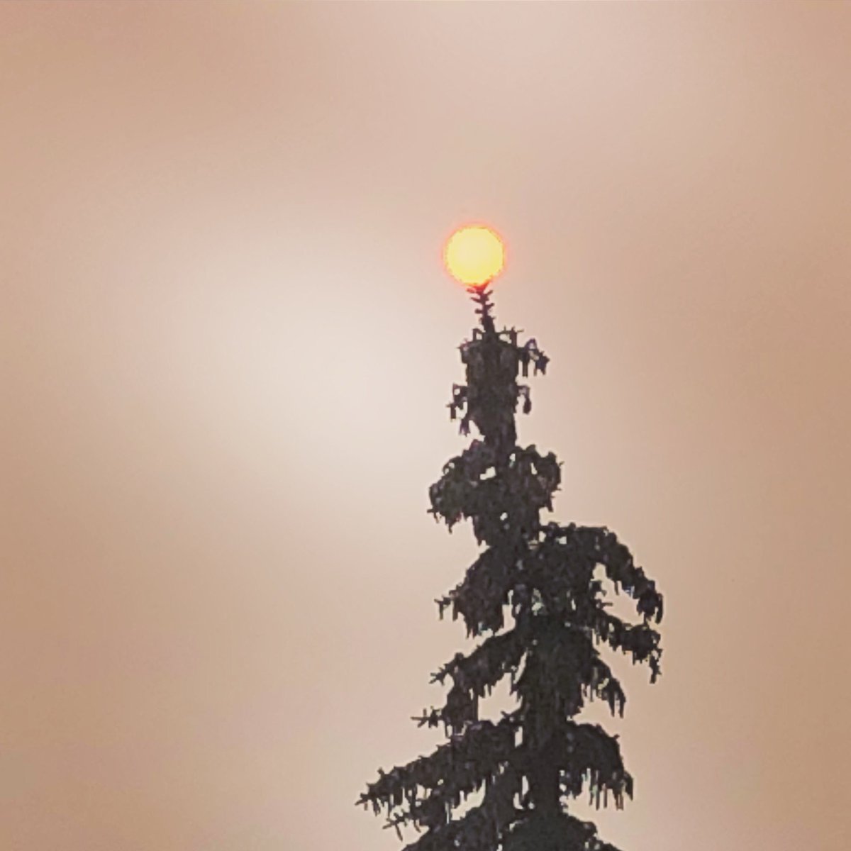 MGBlastroid's tweet photo. The grinch that stole summer. #yycsmoke #yychaze #yyc https://t.co/glbmlkQukf