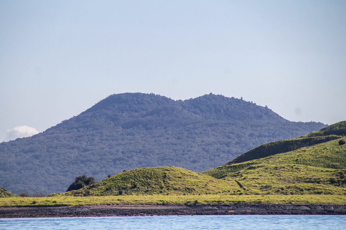 djnm23's tweet photo. Motukorea and Rangitoto https://t.co/BiX8I9T2yZ