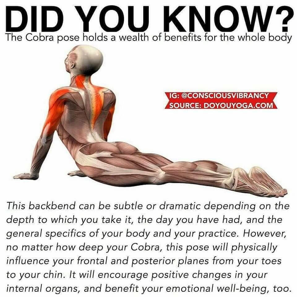 DrJasonWilliams's tweet photo. 5 reasons to stretch it:
1. decreased stress
2. reduced pain and stiffness
3. improved health 
4. enhanced range of motion
5. improved muscular function 

Today and tomorrow I am providing some great stretches to do daily! https://t.co/1cjAXo3RFK