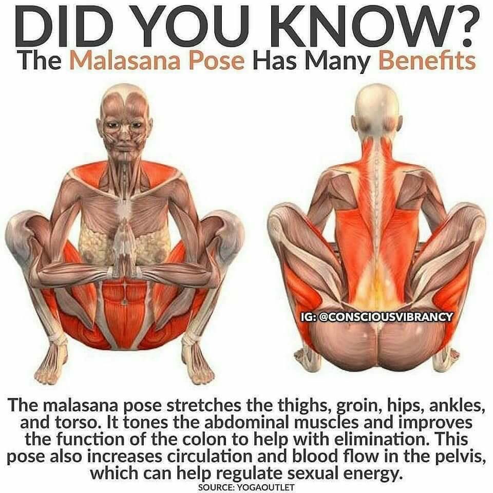 DrJasonWilliams's tweet photo. 5 reasons to stretch it:
1. decreased stress
2. reduced pain and stiffness
3. improved health 
4. enhanced range of motion
5. improved muscular function 

Today and tomorrow I am providing some great stretches to do daily! https://t.co/1cjAXo3RFK