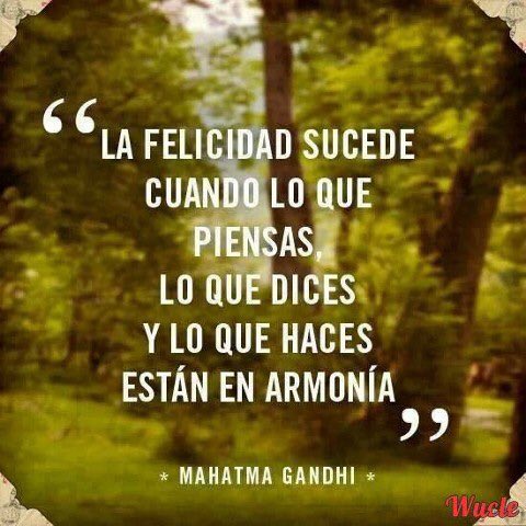 josebgq's tweet image. #escorrecto