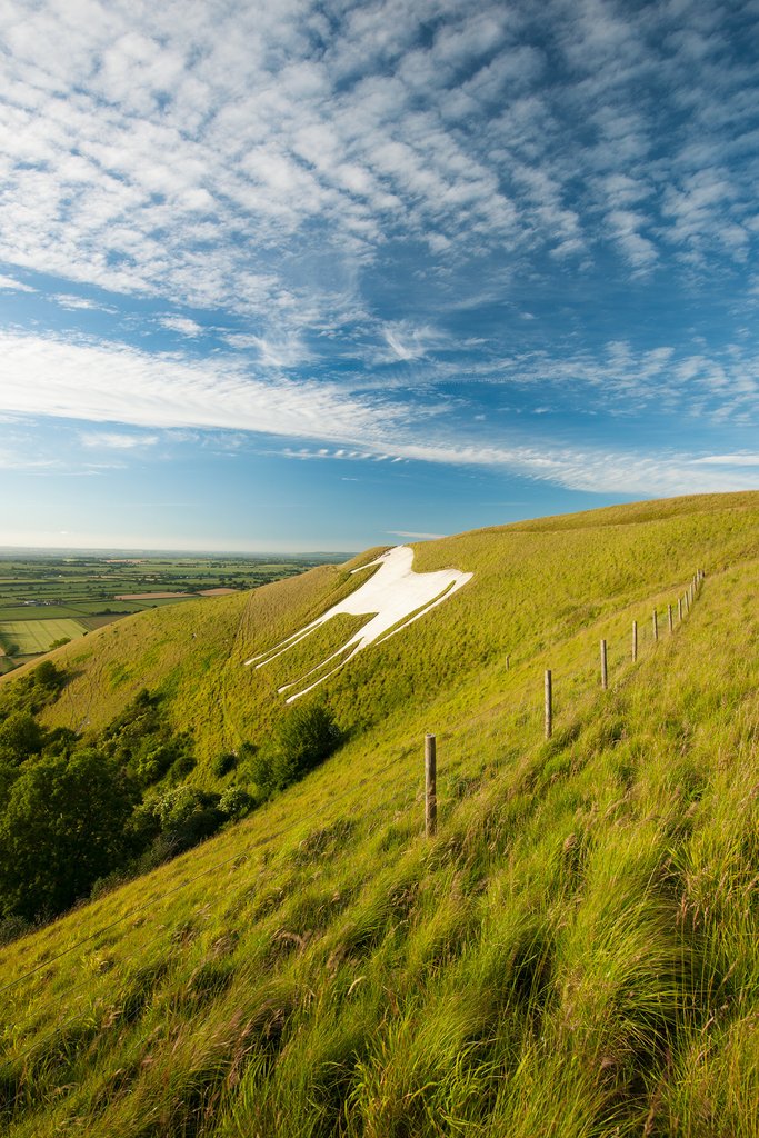 tyi_leefilters's tweet image. The #SW150 Polarizer from @LEEFilters removes light that bounces off flat non-metallic surfaces such as glass or water. Filtering this light can eliminate reflections, remove glare, darken blue skies and generally increase saturation.

Shop today: tyi.ca/collections/po… #TYI