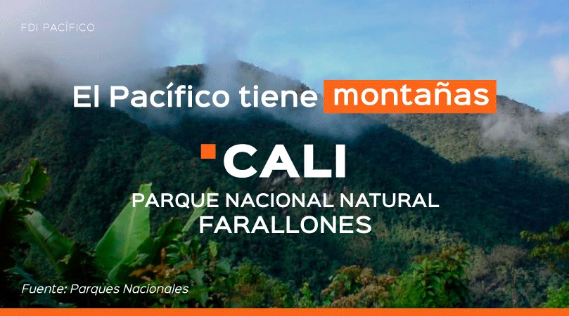 ProPacificoOrg's tweet photo. El Parque Nacional Natural Farallones de #Cali​ es el área protegida más grande del #ValledelCauca, allí se albergan cerca de 540 especies de aves y nacen más de 30 ríos. https://t.co/M5JqhIteje