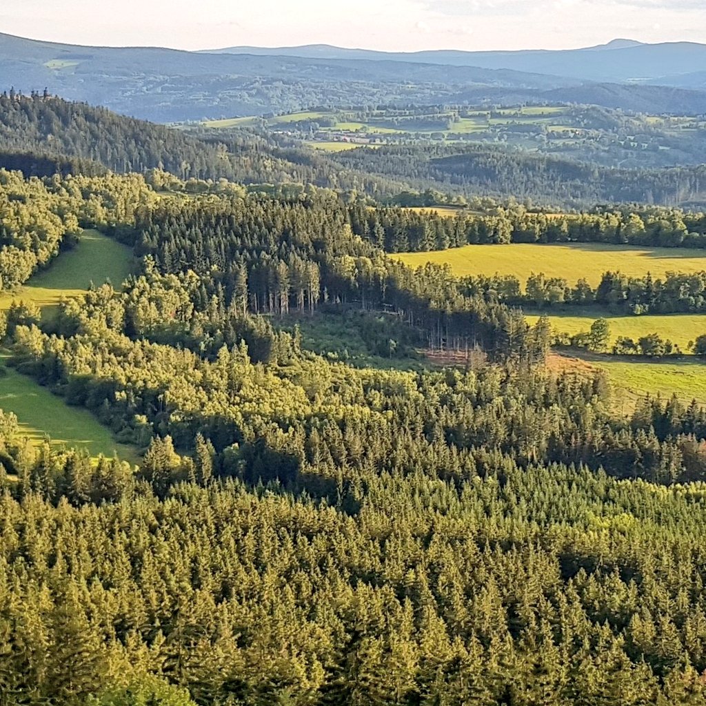 kupastudio's tweet photo. SEDLO
Večerní šumavské panorama s Kašperkem.
#Kasperk #Sumava #Šumava #landscape #forest #mountains #sunset #twilight 
#czech_insta #czech_vibes #loves_czech #igerscz #fotimecesko #beauty_of_czechia #fromczechia #visitcz #your_world_live #nas_svet [○°] #S8plus #SamsungGalaxy https://t.co/8NTMs9OpKo