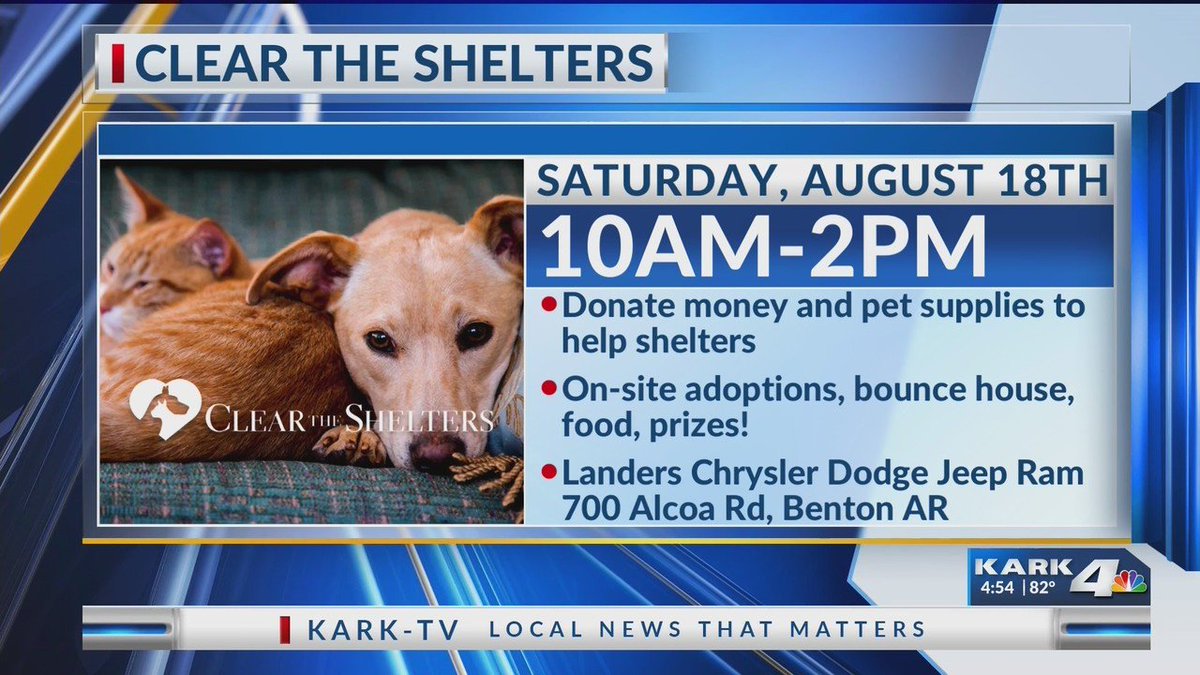 Clear the Shelters Pet Adoption Aug. 18 in Benton dlvr.it/Qg1YGJ https://t.co/4ZcKQvI8v2