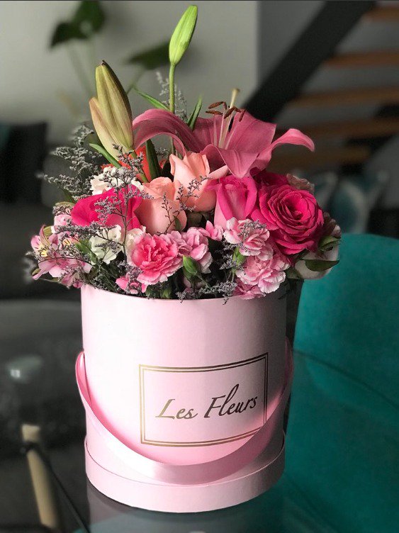 JuanPaBojorquez's tweet photo. Un regalo muy original solo en @Lesfleurs_Mx #BabyGroots #Orquideas #Flores #RosasEternas Whatsapp (55) 10 68 04 50. https://t.co/gH2eCFulsa