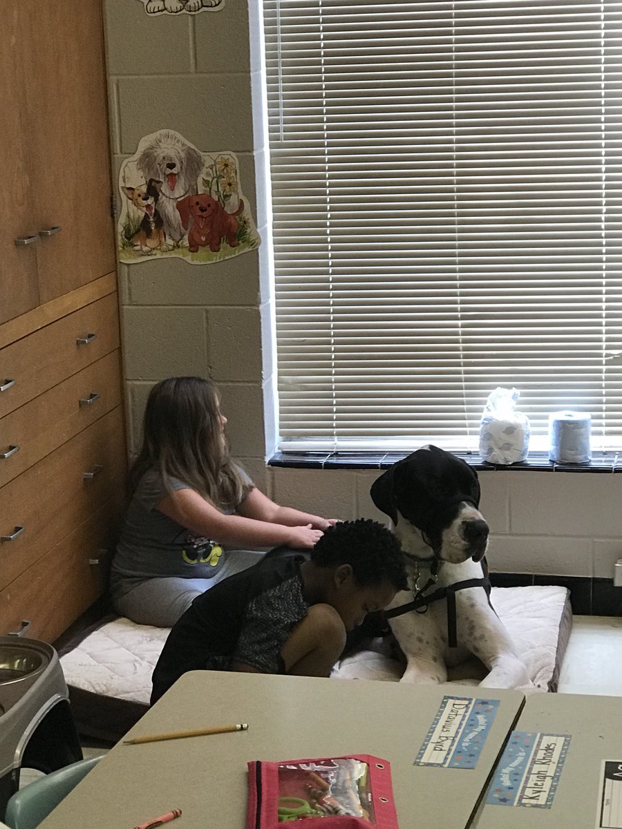 Marissa Kiddy tweet media