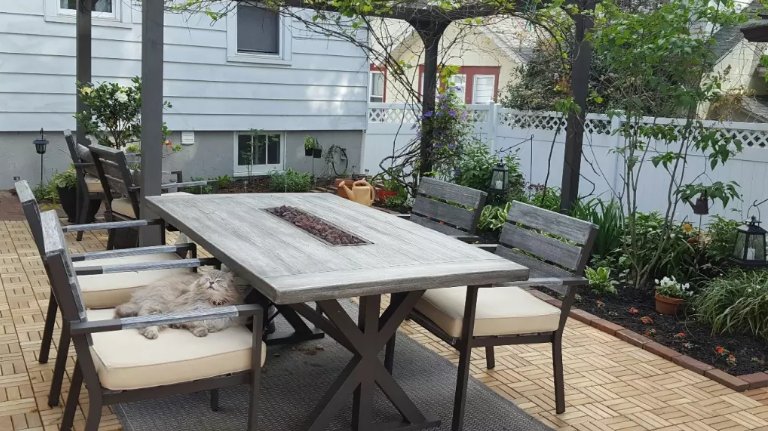 We wish we were as relaxed as this cat! #NationalRelaxationDay #BelhamLivingSilbaFireTable <a href="/hayneedle/">Hayneedle</a>