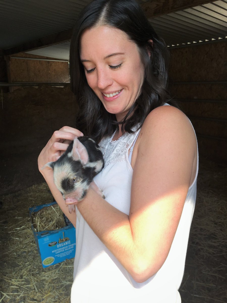 uplinkspyder's tweet photo. When your Marketing Managers go to a business meeting on a farm full of baby pigs, domesticated deer, and miniature horses... #cutenessoverload #dowehavetoleave 🙆♀💕🐷 https://t.co/IanDIi8VxM