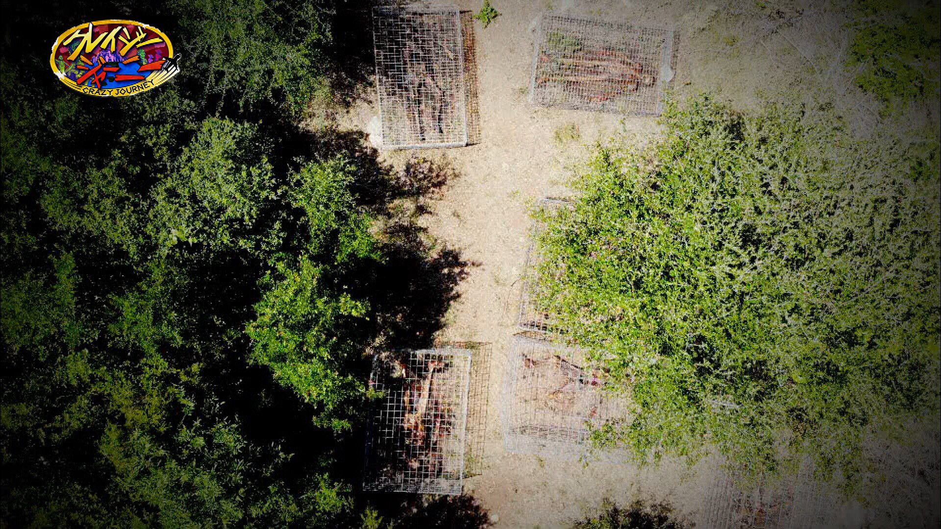 死体農場 - Search / X