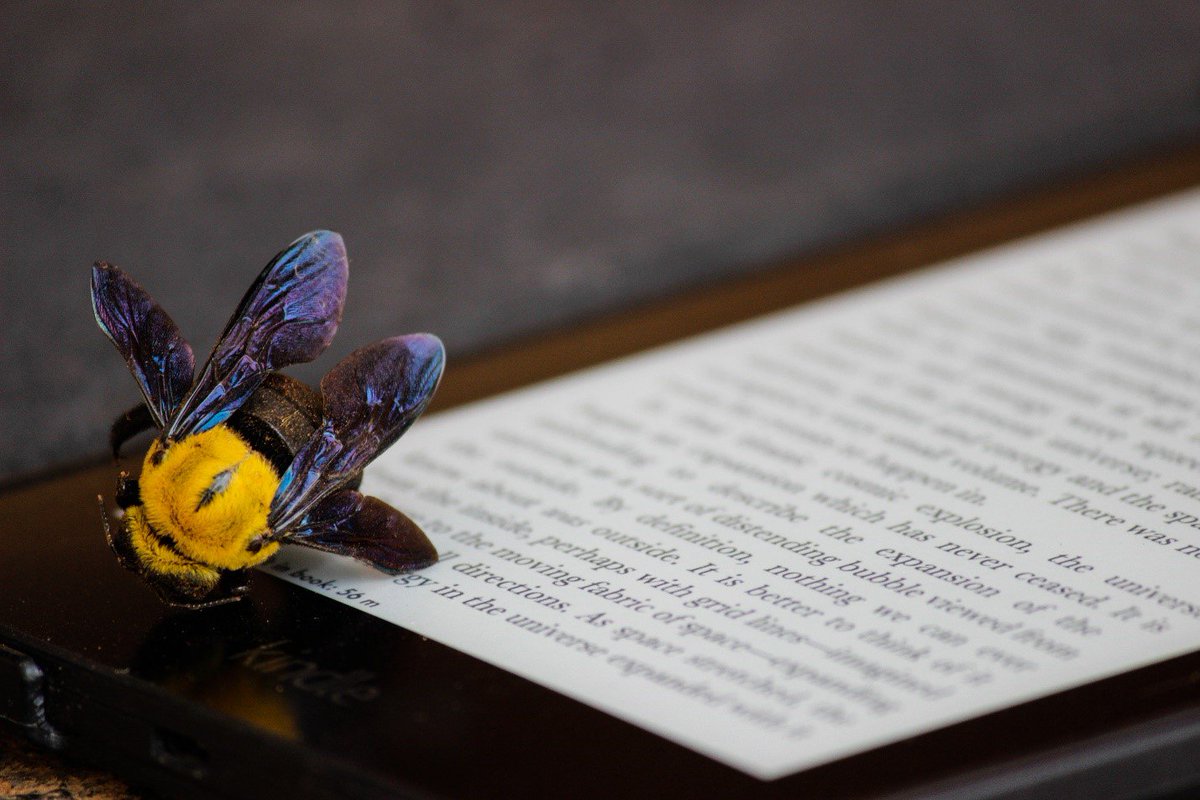AgMuseum's tweet image. In honour of #HoneyBeeDay, the #IngeniumChannel imagines what a honeybee might say if it had the chance to chat with a human ow.ly/8ghv30lq3Oi @AgMuseum @SarahIKMKing