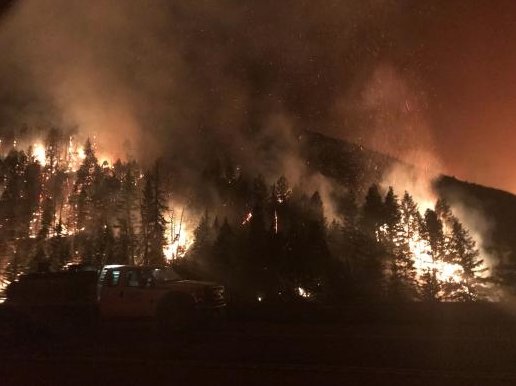 TroutUnlimited's tweet image. Wildfire in the West does more than just burn timber and wild land. It threatens the long-term survival of native trout that are already clinging to survival in disjointed habitats. But you can help. Start by reading this. bit.ly/2nDziPQ #MakeFishingGreatAgain