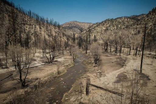 TroutUnlimited's tweet image. Wildfire in the West does more than just burn timber and wild land. It threatens the long-term survival of native trout that are already clinging to survival in disjointed habitats. But you can help. Start by reading this. bit.ly/2nDziPQ #MakeFishingGreatAgain