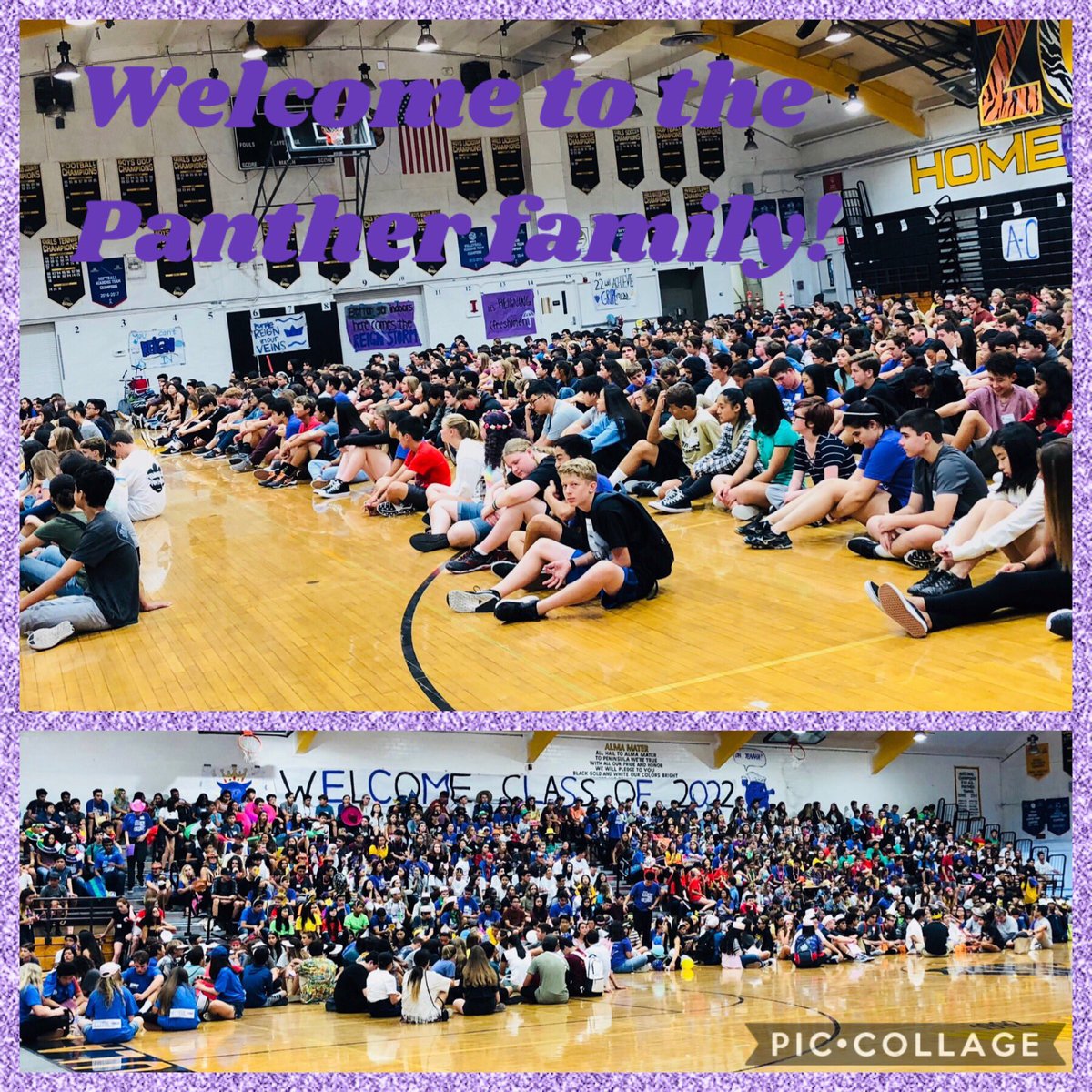 incredibble_pen's tweet photo. 600 freshmen + 125 @PVPHSLinkCrew Leaders = a TON of energy &amp; excitement! So fun to welcome the @PVPHS_Panthers Class of ‘22 at orientation today! 💜#purplereign #ohyeah @PVPHS_Principal @pvpschools @LGotanda_PVP https://t.co/LZMJ12PnjM
