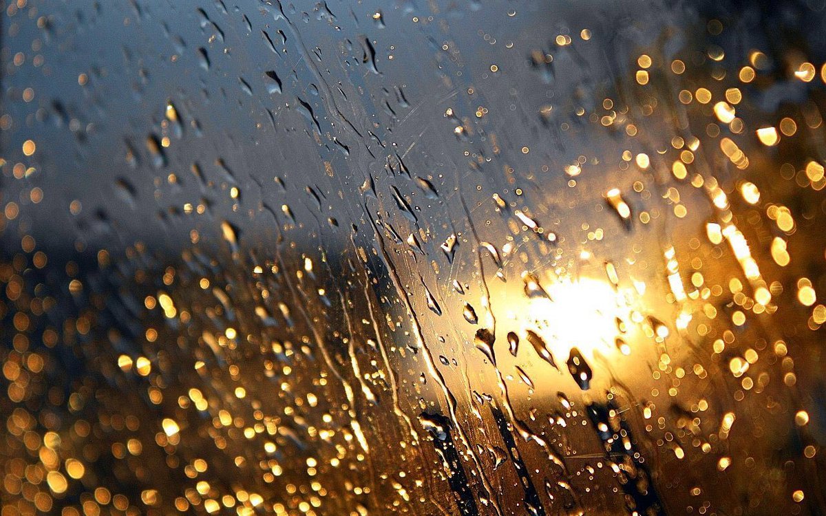 _theProspekts's tweet photo. 🌧The Rain is back but don’t let that ruin your summer, there are still so many things to do in London, places to visit, for FREE, that don’t involve standing in the Rain. You could try something different at home ☀️

✨For ideas check out - https://t.co/FiBIHt6VeR https://t.co/mJOCg1fGjp