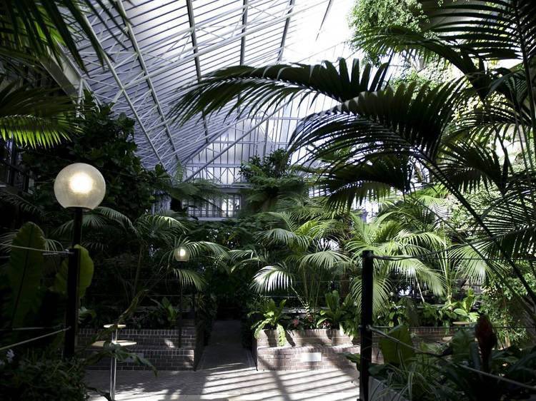 _theProspekts's tweet photo. 🌧The Rain is back but don’t let that ruin your summer, there are still so many things to do in London, places to visit, for FREE, that don’t involve standing in the Rain. You could try something different at home ☀️

✨For ideas check out - https://t.co/FiBIHt6VeR https://t.co/mJOCg1fGjp