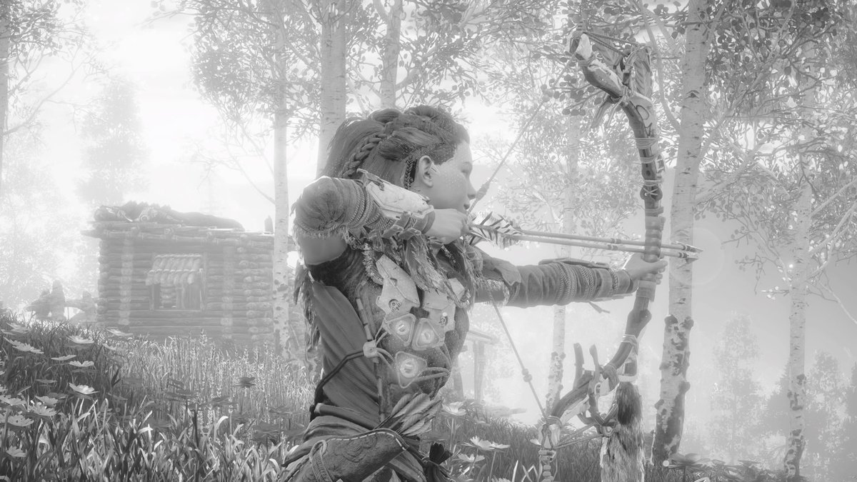 JamesSAMWAF's tweet photo. @Guerrilla #HZDPhotoModeContest - Aloy, despite the Nora... #HorizonZeroDawn #PS4share https://t.co/mz3DZIH94F