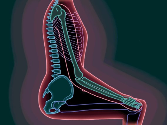 NCRA's tweet photo. To Fix That Pain In Your Back, You Might Have To Change The Way You Sit https://t.co/Ys5dEEDp8N https://t.co/quBSGVMA4H
