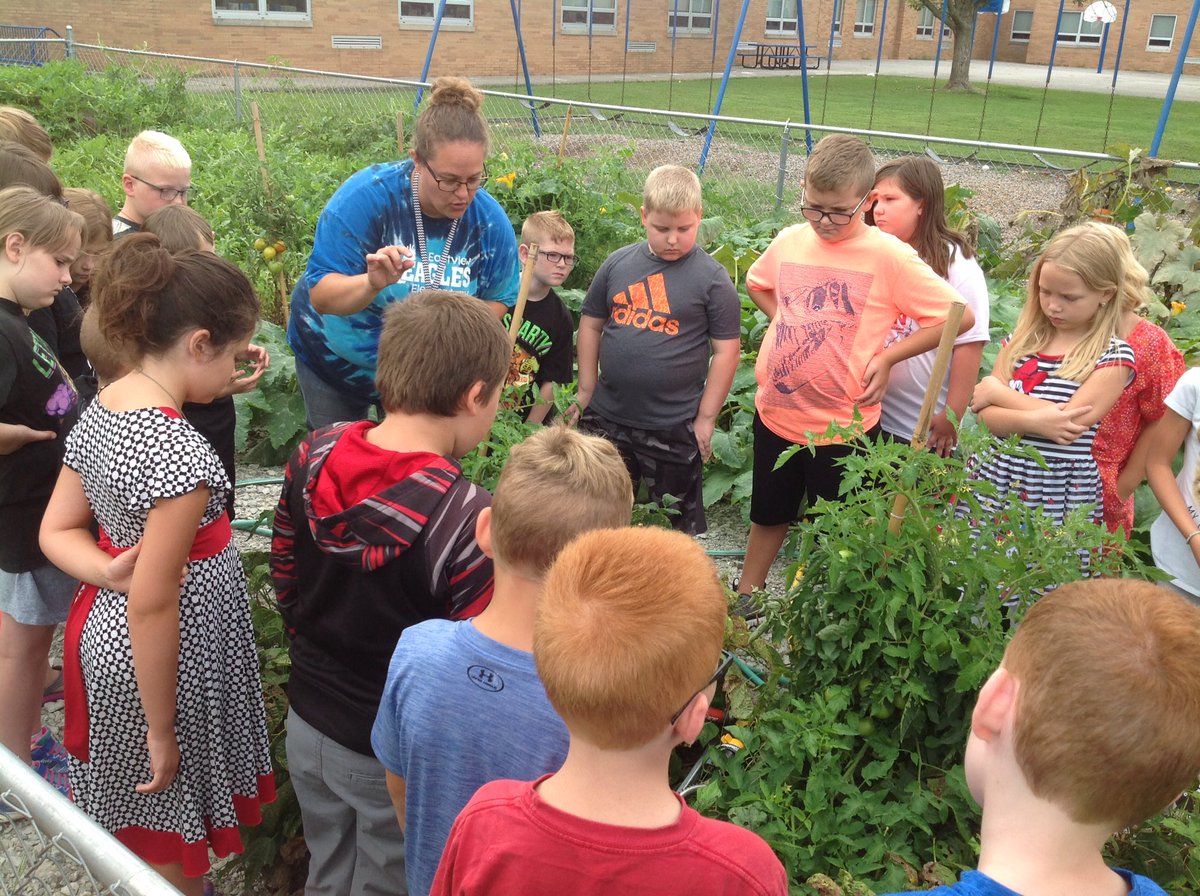 Hufferd111's tweet photo. Green beans galore! Today we harvested the green beans we planted last spring in second grade! Thank you Mrs. Nobbe for your excellent guidance and extensive gardening knowledge! @Miss_Bennett3 #eastviewpride #fcscspartanpride https://t.co/WcWiyNUuu5