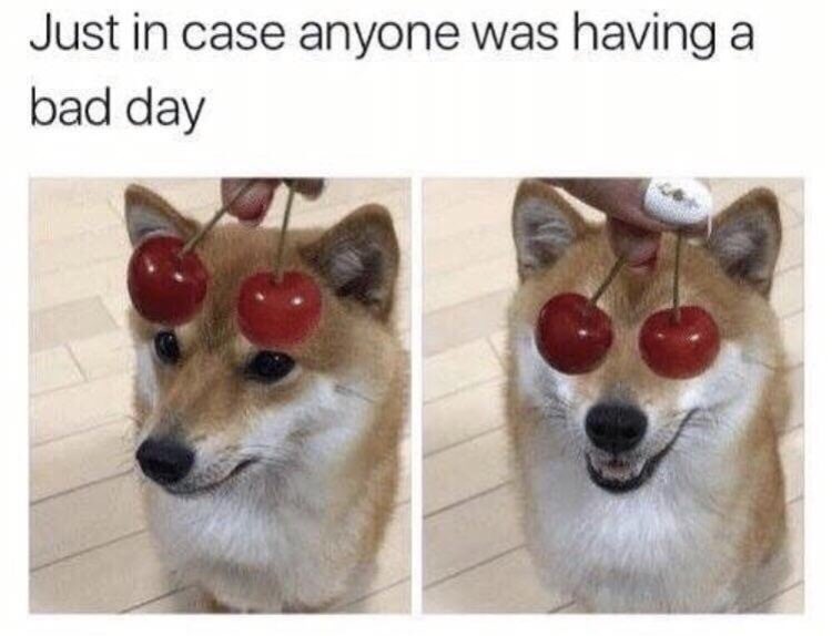 RespectfulMemes tweet picture