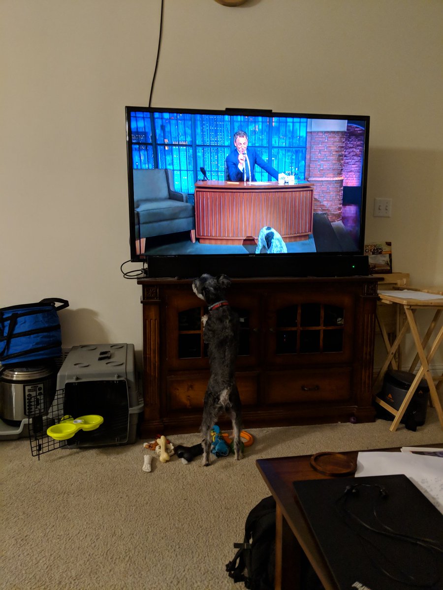 Tim_Nixdorf's tweet image. @LateNightSeth Fritz thinks that you firing a dog is great TV! #DogApprentice