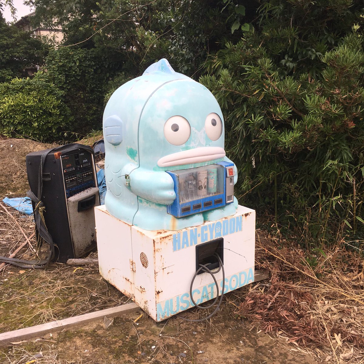 千葉へ帰省した時にハンギョドンの自販機を見つけた！しかもビルボード