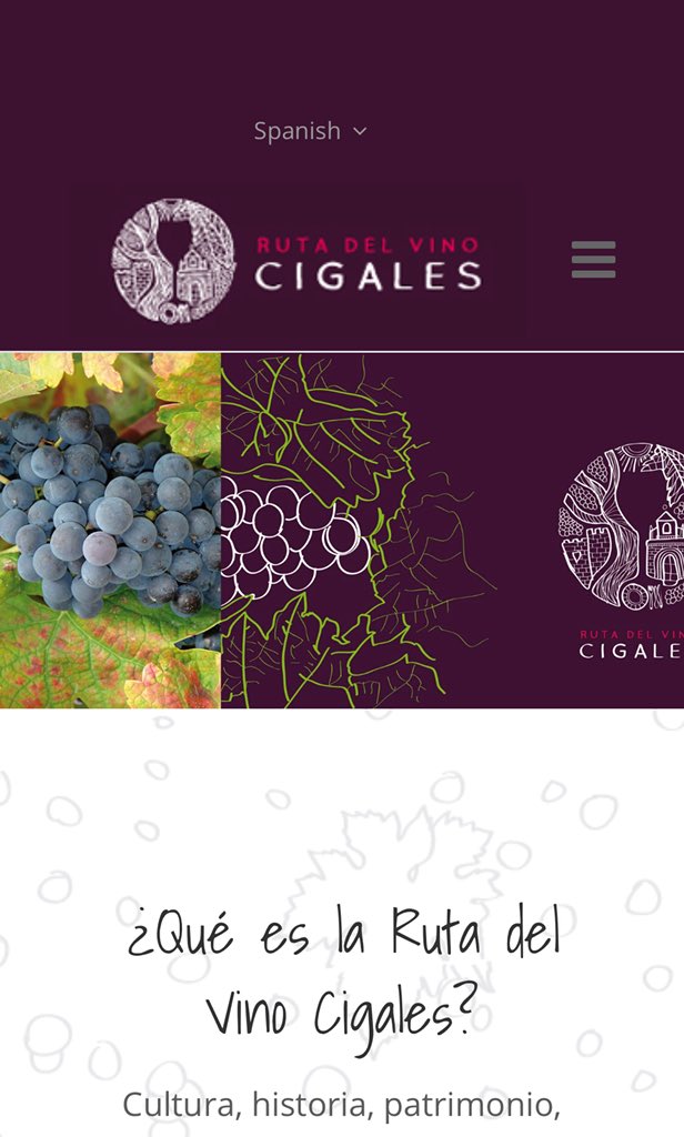 Buenos días , todo listo para comienzo de nuestro circuito . El 16 de septiembre en #cubillasdesantamarta nos adentramos en la <a href="/DOCigales/">D.O. Cigales</a> <a href="/RutaVinoCigales/">Ruta del Vino Cigales</a>  #running #enoturismo #turismodeportivo #eneldeporteestamoscontigo con <a href="/Dip_Va/">Diputación de Valladolid</a> @deportesdipu <a href="/alimentosVALL/">Alimentos de Valladolid</a> <a href="/turvalladolid/">Turismo Valladolid</a>